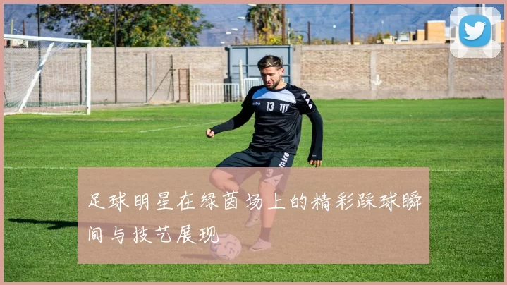 足球明星在绿茵场上的精彩踩球瞬间与技艺展现