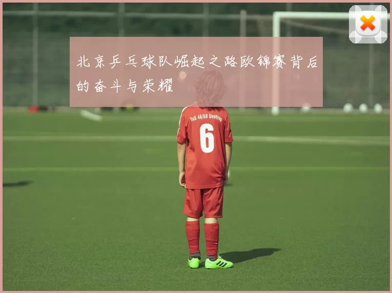 北京乒乓球队崛起之路欧锦赛背后的奋斗与荣耀