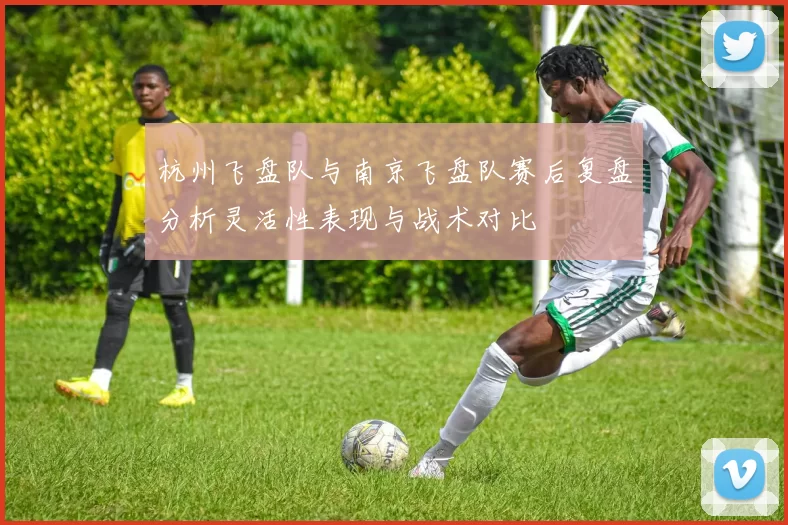 杭州飞盘队与南京飞盘队赛后复盘分析灵活性表现与战术对比
