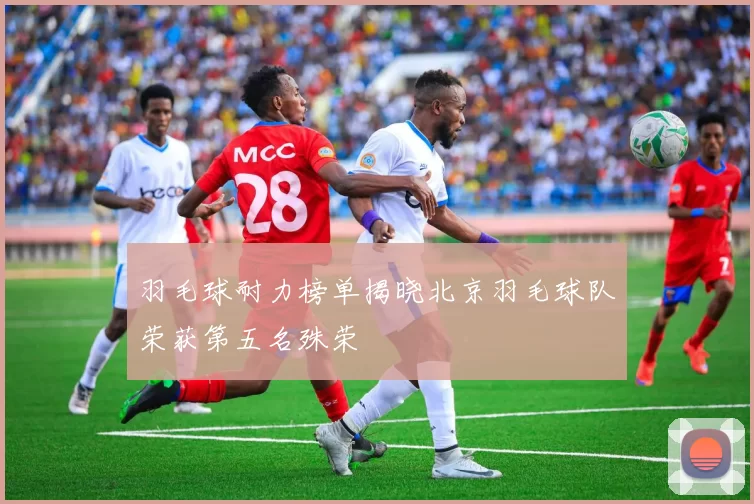 羽毛球耐力榜单揭晓北京羽毛球队荣获第五名殊荣