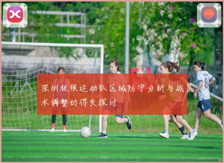 深圳极限运动队区域防守分析与战术调整的得失探讨