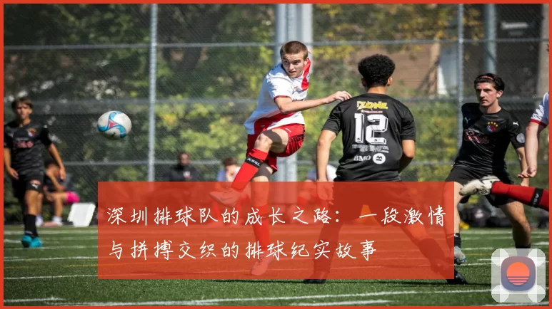 深圳排球队的成长之路：一段激情与拼搏交织的排球纪实故事