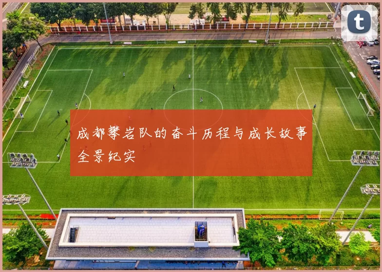 成都攀岩队的奋斗历程与成长故事全景纪实