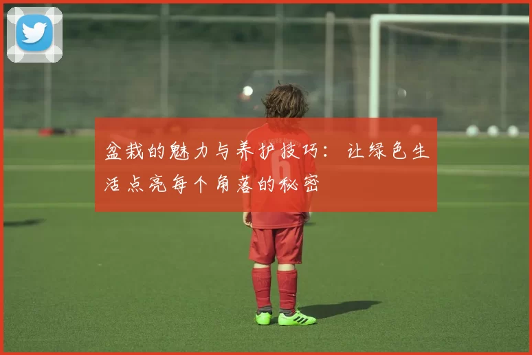 盆栽的魅力与养护技巧：让绿色生活点亮每个角落的秘密
