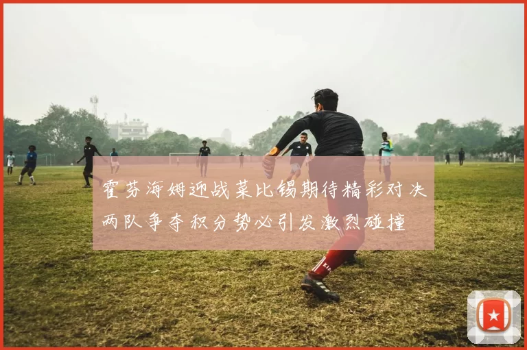 霍芬海姆迎战菜比锡期待精彩对决两队争夺积分势必引发激烈碰撞