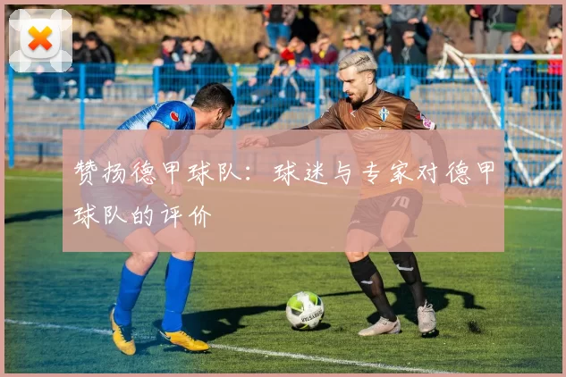 赞扬德甲球队：球迷与专家对德甲球队的评价