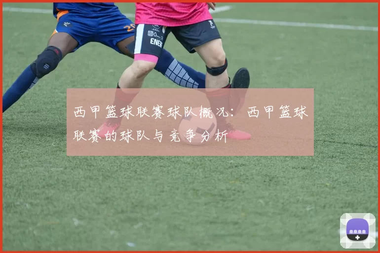 西甲篮球联赛球队概况：西甲篮球联赛的球队与竞争分析