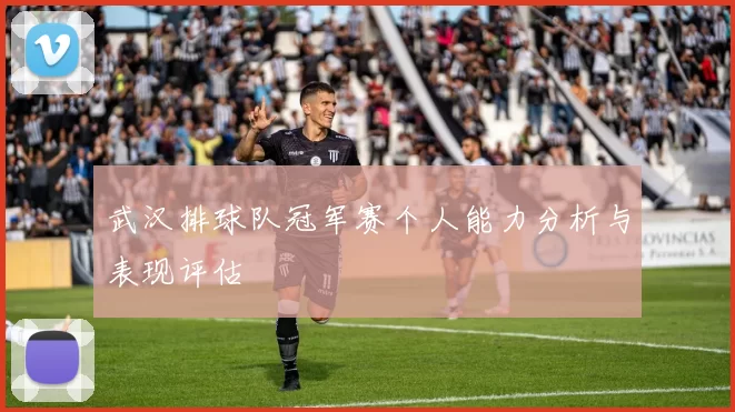 武汉排球队冠军赛个人能力分析与表现评估