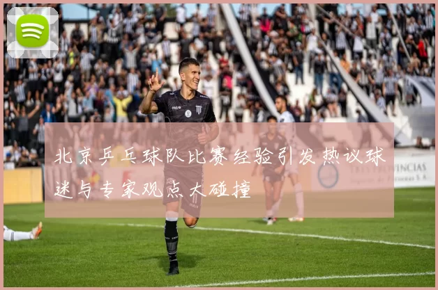 北京乒乓球队比赛经验引发热议球迷与专家观点大碰撞