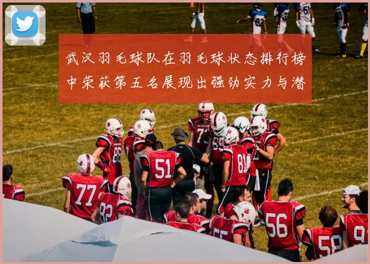 武汉羽毛球队在羽毛球状态排行榜中荣获第五名展现出强劲实力与潜力