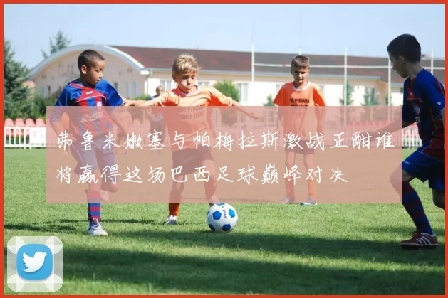 弗鲁米嫩塞与帕梅拉斯激战正酣谁将赢得这场巴西足球巅峰对决