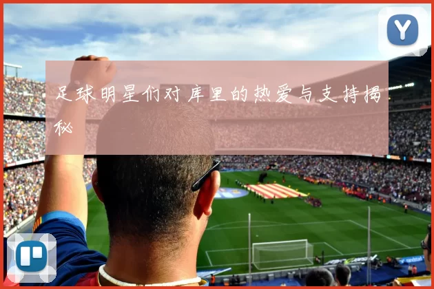 足球明星们对库里的热爱与支持揭秘