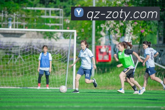 多媒体互动体验